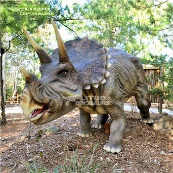 Triceratops restaurat în proporție de 90%.