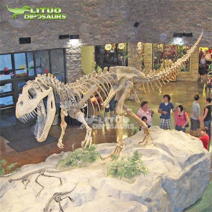 4Skeleton Allosaurus(001)