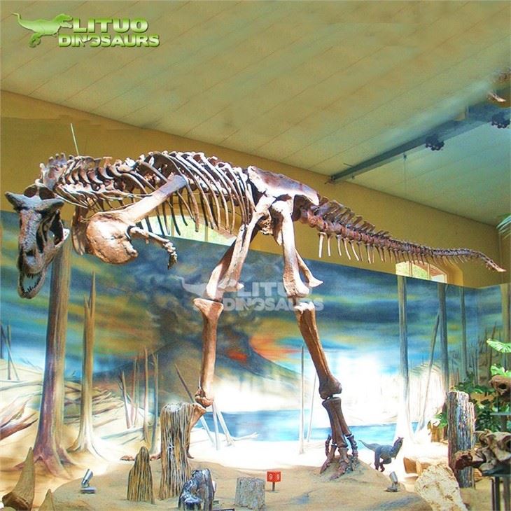 3Carnotaurus Dinosaur Skeleton(001)