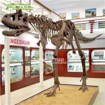 Scheletul Carnotaurus